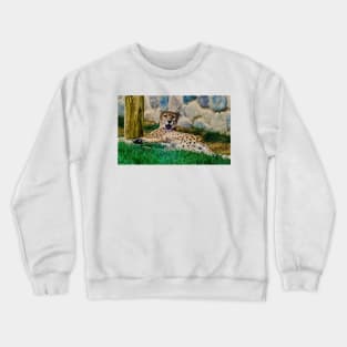 Cheetah surprise Crewneck Sweatshirt